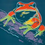 Pine Barrens Tree Frog, from Endangered Species (F & S. 294) by Andy Warhol, 1983, Screenprint in colors, on Lenox Museum Board, the full sheet, sold Oct 2021