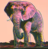 African Elephant, from Endangered Species (F. & S. 293) by Andy Warhol, 1983, Screenprint in colors, on Lenox Museum Board, the full sheet, sold Oct 2021