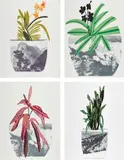 Untitled by Jonas Wood, 2014, The complete set of four lithographs with screenprint in colors, on Coventry Rag paper, with full margins, sold Oct 2021