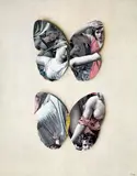 Jiří Kolář, [Butterflies]