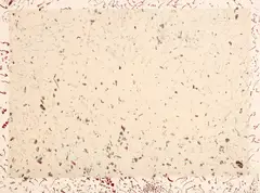 Howardena Pindell, Untitled, 1976, Lithograph in colors, with handmade paper Chine collé to Arches paper, the full sheet