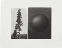 Untitled (Sequoia and Moon), from The View by Vija Celmins, 1985, Mezzotint, on Rives BFK paper, with full margins, sold Oct 2021