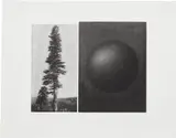 Vija Celmins, Untitled (Sequoia and Moon), from The View, 1985, Mezzotint, on Rives BFK paper, with full margins