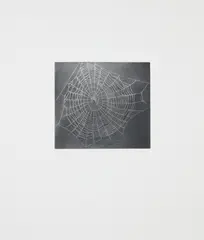 Untitled (Web 1), from MOCA portfolio (R. p. 54) by Vija Celmins, 2001, Mezzotint in grey, on Hahnemühle Copperplate paper, with full margins, sold Oct 2021