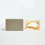 Anish Kapoor, Memory, 2008, Cast polyurethane multiple, contained in the original foam-lined cardboard box with embossed title and artist name