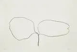 Locust (Acacia), from Suite of Plant Lithographs (A. 52) by Ellsworth Kelly, 1965-1966, Lithograph, on Rives BFK paper, with full margins, sold Oct 2021