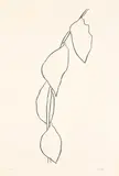 Lemon Branch (Branche de Citron), from Suite of Plant Lithographs (A. 57) by Ellsworth Kelly, 1965-1966, Lithograph, on Rives BFK paper, with full margins,, sold Oct 2021