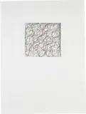 Brice Marden, Nevis Letter