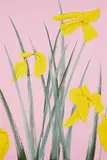 Alex Katz, Yellow Flags 3