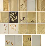 Andy Warhol, A Gold Book (F. & S. IV.106-124); and Holy Cats by Andy Warhol's Mother, 1957, Two artist's books, A Gold Book comprised of the complete set of 20 offset lithographs, five with hand-coloring, 14 on gold paper and six on white wove paper, the full sheets (bound as issued), with the original binding and cover, lacking tissue dividers, and and Holy Cats by Andy Warhol's Mother comprised of 20 offset lithographs (one with hand-coloring), on colored wove paper, bound (as issued), with original paper-covered hardcover with offset lithograph and hand-coloring on the front