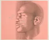 Ed Paschke, Michael Jordan, from One on One, 1994, Unique screenprint with metallic ink and hand-coloring in enamel marker, on wove paper, with full margins
