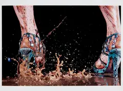 Marilyn Minter, Shit Kicker, 2006, Chromogenic print