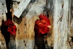 Rubberneck by Nate Lowman, 2005, Chromogenic print, laid to heavy board (as issued), sold Oct 2021