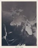 Sigmar Polke, Günter Brus, from Menschenbilder 3 (B. & O. 33), 1973, Offset lithograph, on thin board, the full sheet