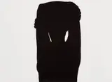 Harry Callahan, Eleanor, Chicago
