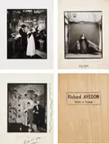 Richard Avedon, Richard Avedon: Made in France