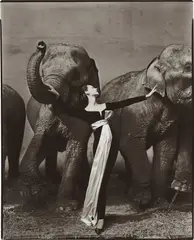 Richard Avedon, Dovima with elephants, Evening dress by Dior, Cirque d’Hiver, Paris, August, 1955, Gelatin silver print, printed later