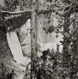 Lee Friedlander, Yellowstone National Park, Wyoming
