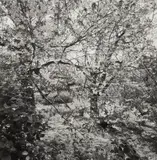 Lee Friedlander, Highland Park, Rochester