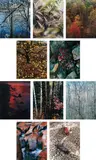 Eliot Porter, Intimate Landscapes