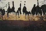 7.2.96 by Gerhard Richter, 1996, Hand-applied oil paint on chromogenic print, unique, sold Apr 2021