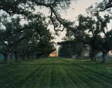 Mitch Epstein, Chalmette Oil Refinery, New Orleans, Louisiana II from American Power, 2007, Chromogenic print