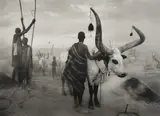 Dinka Group at Pagarau Cattle Camp, Southern Sudan, Africa by Sebastião Salgado, 2006, Gelatin silver print, printed later, offered Apr 2021
