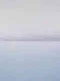 Catherine Opie, Untitled #8