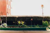 Wolfgang Tillmans, window (37-36)