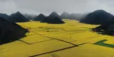 Edward Burtynsky, Canola Fields, Luoping, Yunnan Province, China