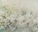 Ori Gersht, Untitled I from Elephant