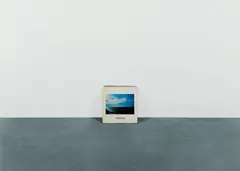 California by Anne Collier, 2014, Chromogenic print, sold Apr 2021