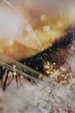 Marilyn Minter, Shimmerous