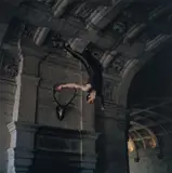 Sam Taylor-Johnson, Falling VI
