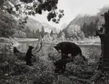 Black Bear by Hiroshi Sugimoto, 1994, Gelatin silver print, sold Apr 2021