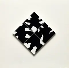 Ray Metzker, Whimsy A-24, 1974, Composite of four gelatin silver prints, flush-mounted together, the whole on a secondary mount