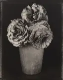 Tom Baril, Eustoma, 1997, Toned gelatin silver print