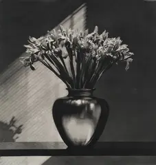 Robert Mapplethorpe, Irises, 1986-1987, Photogravure