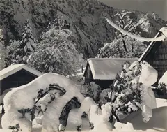 Ansel Adams’s Darkroom by Edward Weston, 1938, Gelatin silver print, sold Apr 2021