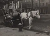 Ansel Adams, Horse and Cart Under the El, New York City