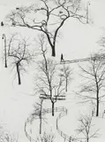 André Kertész, Washington Square, Winter
