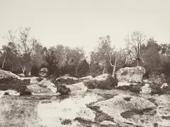 Eugène Cuvelier, Belle-Croix, Forest of Fontainebleau, circa 1861, Albumen print from a paper negative