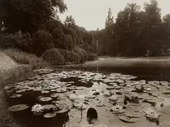 Bagatelle, Nymphéa by Eugène Atget, 1925, Printing-out-paper print, sold Oct 2021