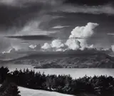 Ansel Adams, Golden Gate Headlands from Lincoln Park, San Francisco