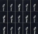 Ray Metzker, In Situ