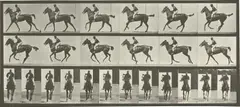Eadweard Muybridge, Selected Images from Animal Locomotion: An Electro-Photographic Investigation of Consecutive Phases of Animal Movements, 1887, Forty-seven collotypes
