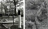 Nicholas Nixon, Waverly St., Brookline (3) and Brookline