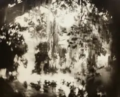 Untitled #32 from Deep South by Sally Mann, 1998, Gelatin silver print, toned with tea, sold Oct 2021