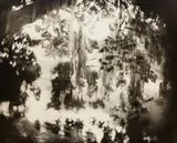 Sally Mann, Untitled #32 from Deep South, 1998, Gelatin silver print, toned with tea