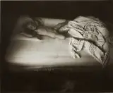 Sally Mann, The Wet Bed